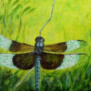 Dragonfly #6, Acrylic on Canvas, 5 x 7 inches, Copyright Wendie Donabie